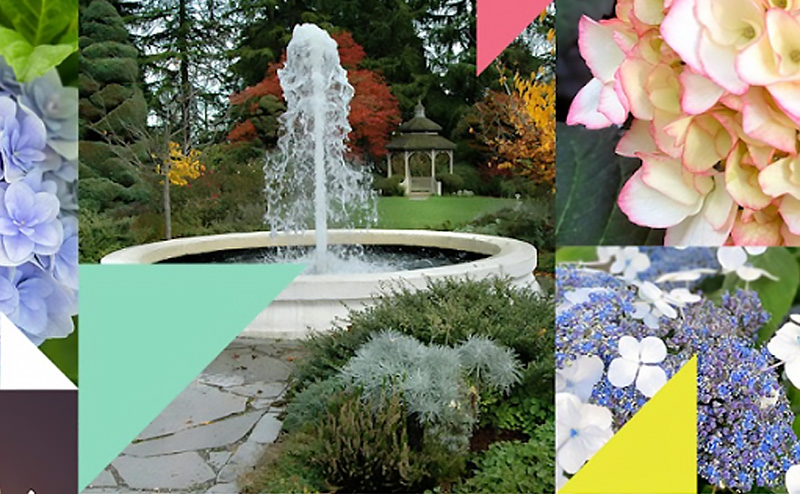 A collage of various flowers and a fountain.